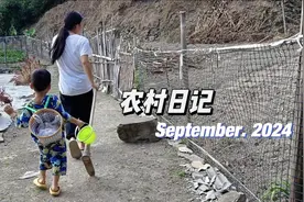 下乡收黄豆的来了，122斤黄豆卖三百多，2.5一斤是便宜还是贵？视频封面