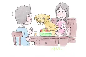 狗狗：很不高兴见到你 （素材来源@Animal BaBy）#画画#狗狗#搞笑#画一个故事 #萌宠出道计划