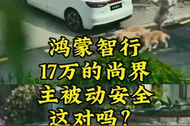 17万的尚界H5，标配了华为乾崑智驾主被动安全。我愿称之为鸿蒙智行最强性价比！#尚界H5 #智享车生活 #鸿蒙智行湖北车友会 #华为 #性价比