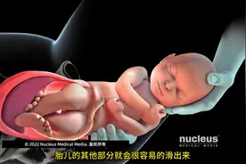 伟大的母爱！分娩过程3D动画还原 【3D医学动画】分娩过程视频封面