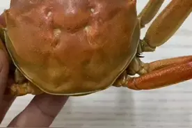 #大闸蟹 正确的螃蟹吃法，吃货