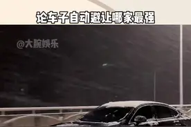 知道沃尔沃的安全系数高，没想到这么高。#沃尔沃 #安全系数 #自动避让