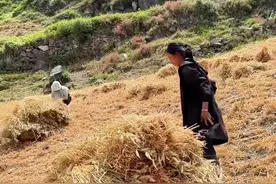 黑衣服在这里@俄亚纳西拉姆  农村生活就是这样的#记录真实生活 #农村生活 #农忙时节视频封面