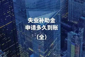 失业补助金申请多久到账#社保 #失业 #失业补助金 #涨知识 #财务视频封面