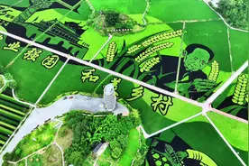水稻之父袁隆平#一生献给水稻事业#1949～2025，75年#振兴乡村视频封面