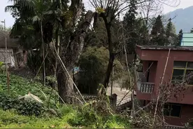 沧海桑田，过眼云烟。 回不去的不是家乡，而是时间呐！！#我的乡村生活 #vlog日常 #我的乡村生活 #三农视频封面