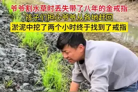 爷爷不小心遗失带了八年的金戒指，孩子们从各地赶回帮忙寻找 （视频来源@Xiaoshuai131468 ）#隔代亲视频封面