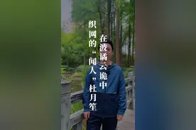 杜月笙出身底层，从水果店学徒混成青帮大佬，靠鸦片生意发家。他黑白通吃，临终烧光欠条，一生游走正邪间，尽显乱世复杂底色。#杜月笙 #旧上海#杜月笙黄金荣 #传奇人物视频封面