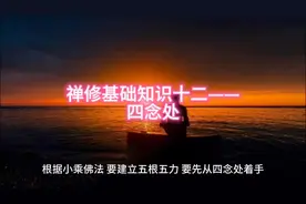 禅修基础知识十二——四念处#禅悟人生 #人生是一场修行