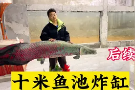 十米鱼池玻璃裂开，研究整改方案#巨骨舌鱼 #观赏鱼 #水族