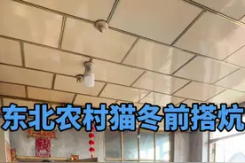 东北农村猫冬前搭火炕 #东北农村日常生活视频 #2024新农人计划 #东北猫冬生活 #农村原创视频 #农村美食
