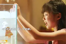 可爱的章鲨被人类逼成食人恶鲨#海洋巨怪