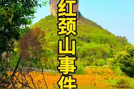 20多年前的红颈山事件，年轻人不知道这里的故事。#请回答春天在哪里呀#桂林山水甲天下视频封面