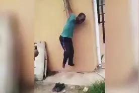 网友：刑部尚书之非洲分书！#搞笑#神评论#专治不开心