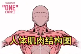 人体肌肉结构图，快收藏起来吧#人体结构 #运动解剖 #人体绘画