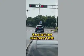 闯了红灯别着急，这个小方法让你及时止损，提升开车安全性！ #每天一个用车知识 #行车安全 #带你懂车视频封面