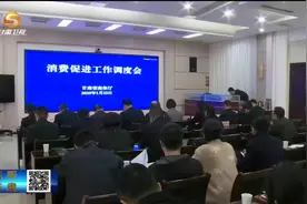 促消费“火力全开” 点燃春节“烟火气” #春节 #消费视频封面