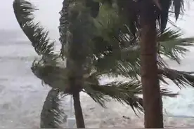 #台风蝴蝶最强可达12级 #台风来了#三亚