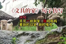 文具的家，一……就……句子仿写#每天学习一点点 #下册 #语文