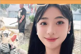 与十多只老虎近距离互动，广西这家老虎主题酒店收藏起来视频封面