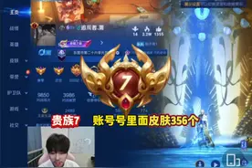贵族 7 有 356 个皮肤？#游戏风向标 #王小贱 #王者荣耀视频封面