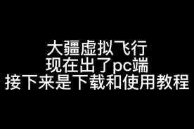 PC端大疆虚拟飞行下载教程