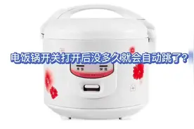 电饭锅开关打开没多久后就跳了？原来是这里的问题，维修特别简单