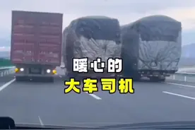 #创作灵感 #货车司机 这就是大车司机的无言的爱，默契动作一致视频封面