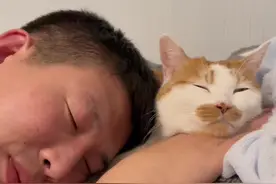 咬一口才能睡得香😆#戏精猫 #猫和主人的日常互动视频封面