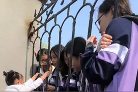 相差十二岁的兄妹，来学校看哥哥，瞬间被哥哥同学围观了，更暖心的是这么多小姐姐都跑过来给妹妹送零食，哥哥的同学真的太懂事了，值得表扬，阿姨为你们点赞，加油孩子们，更高兴的是，茫茫人海中，妹妹看到哥哥的瞬间，看妹妹那眼神和那表情， 看把这兄妹俩亲的，真的令人羡慕啊，妈妈永远爱你们我的宝贝 #记录宝贝成长的点点滴滴视频封面