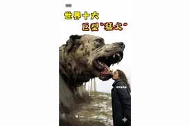 世界上十大体型超大的“巨型犬种”，站起来比马都高，藏獒也只能当弟弟？#萌宠出道计划 #狗狗 #藏獒 #猛犬 #大型犬