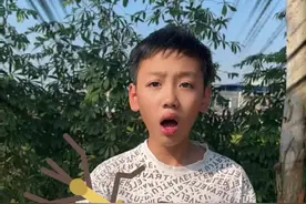 这几种超级会伪装的虫子！千万别拿手里玩 #儿童安全 #孩子教育 #科普知识