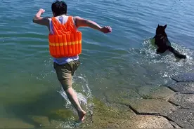 来福小老弟天天想吃我的席，我们要不要先吃他的啊？？？#哈士奇 #二哈 #萌宠出道计划 #抖音萌宠 #带着狗狗去旅行视频封面