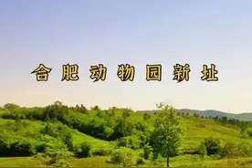 合肥动物园通过搬迁至泉山方案，恭喜肥东！#航拍#泉山#旅行推荐官 #合肥周边景区