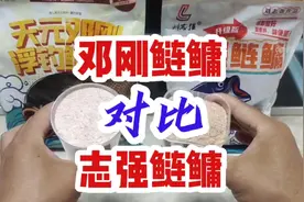 天元邓刚浮钓鲢鳙对比测评志强鲢鳙,浮钓鲢鳙饵料到底该怎么选视频封面