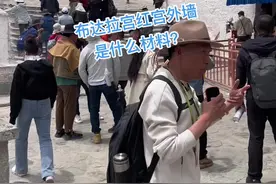 布达拉宫为什么能够被评为全球十大杰出土木石结构之一？#布达拉宫#旅行推荐官视频封面