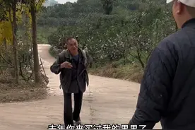 大爷的果冻橙咱们收了三年了 小的不发给你们 算我的  #爱媛果冻橙视频封面