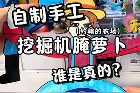 挖掘机里腌萝卜，到底谁是真的？ #手工 #挖掘机里腌萝卜咿呀咿呀哟 #约翰的农场 #自制手工 #自制