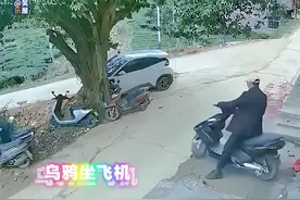 骑着电瓶车，我也能感受到风的速度。#搞笑 #看一遍笑一遍视频封面