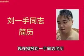 #头条号 #大哥终究是大哥  刘一手个人简历！