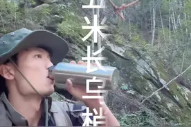 我再问你们一遍，你们说的是认真的吗😦欢迎来打我脸 教我做人#蛇类科普