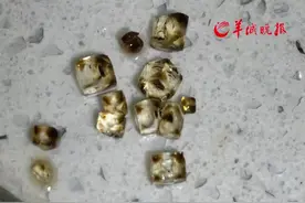 科研人大型破防现场 女子发现酱油析出“玻璃渣”“实验室的晶体都没这个好！”#小羊拍客 （记者：王中杰；编辑：潘俊华 ；实习生：许姝钰；审签：岑杰昌）#科研 #发现视频封面