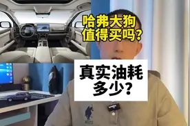 哈弗大狗值得买吗？优缺点分析！#哈弗大狗 #汽车知识