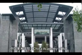 中国美术学院#科普一下 #美术生可以报考哪些综合类的大学