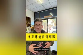 为什么冬天还能看到蛇 蛇有浅冬眠和深冬眠之分，眼镜蛇属于浅冬眠，喜欢晒太阳；五步蛇则是深冬眠，脂肪存储量大。有些蛇不冬眠可能是因为老化或即将死亡，此时它们活动能力较弱，对人伤害较小。#生物科普 #蛇类科普视频封面