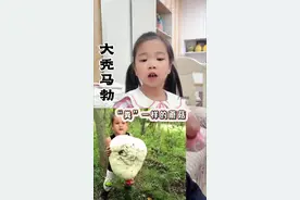 既像馒头又像马粪的蘑菇，你见过吗？一起了解一下吧………#正确引导教育孩子#生活小常识#科普日常知识#大秃马勃菌#马粪包蘑菇@抖音短视频