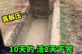 老司机清理水渠，这工作看着真解压 