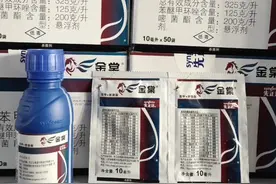 32.5%苯甲·嘧菌酯 炭疽病稻瘟纹枯病叶斑病 杀菌剂#杀菌剂 #