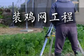 安装鸡圈围网工程 #三农 #农村生活 #鸡圈围网 #工地生活 #大学生就业指导