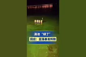 #滇池 成了“草原”？回应：这是最近气温升高，#蓝藻 暴发所导致。#气候变化视频封面